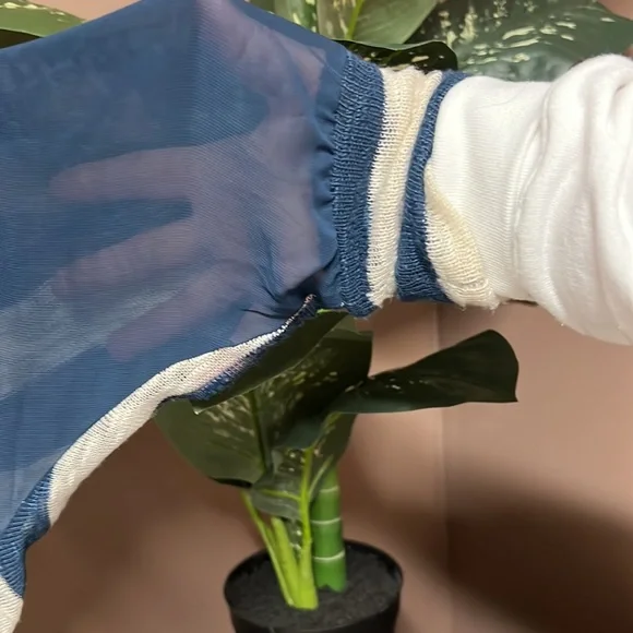 American Rag - Picture 3 of 4